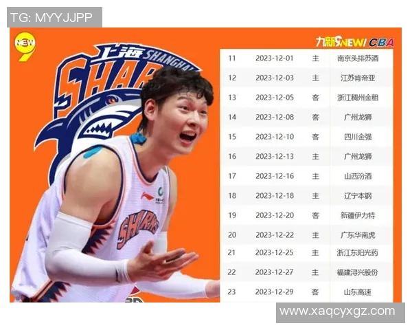 CBA球队战术调整对比赛结果的深度影响与趋势分析